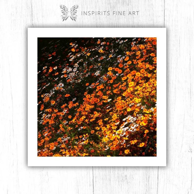 Spirit of the Suns: Orange Marigold Art Print - Image 2