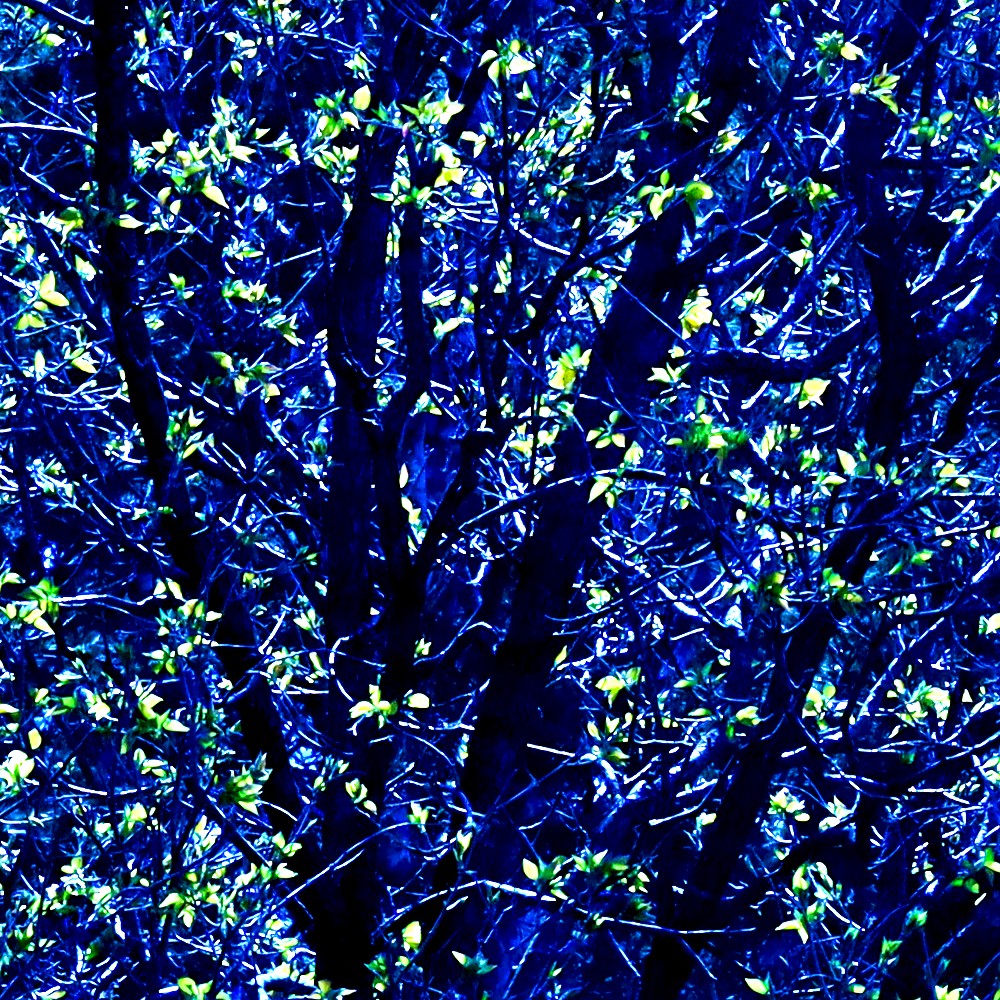 Rebirth: Spring Tree Art Print - Image 2